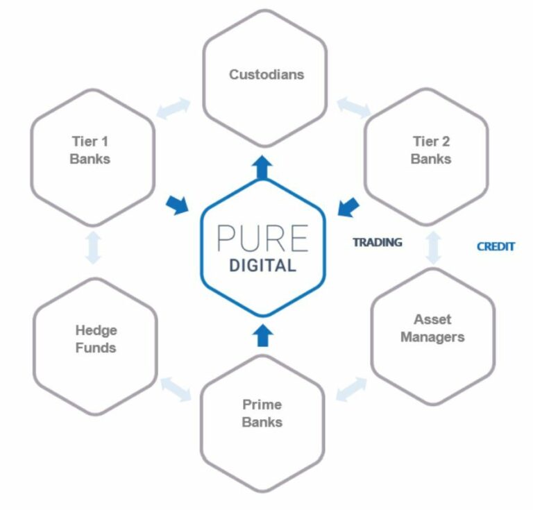 THE FUTURE OF DIGITAL ASSETS TRADING Pure Digital Markets